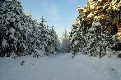 《刺客信条：幻景》PC配置公开 GTX 1060起步